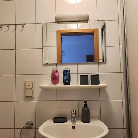 Проживание в семье Meyman *